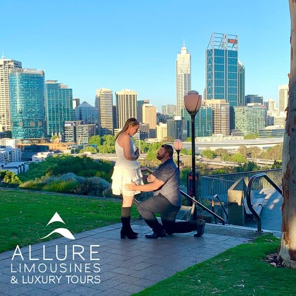 Allure Limousines photo 5