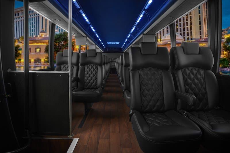 Ambassador Limo photo 4