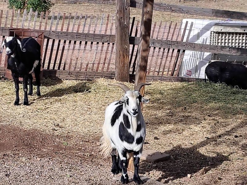AZ Wine Hops Touring photo 2