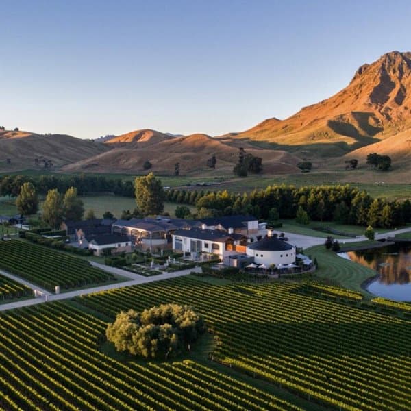 Bay Tours And Charters photo 4