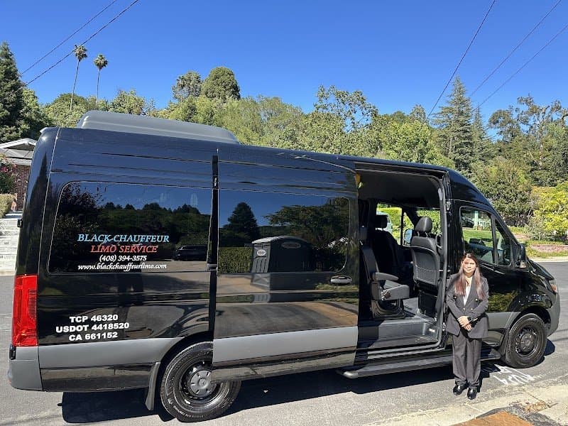 Black Chauffeur Limo Service photo 2