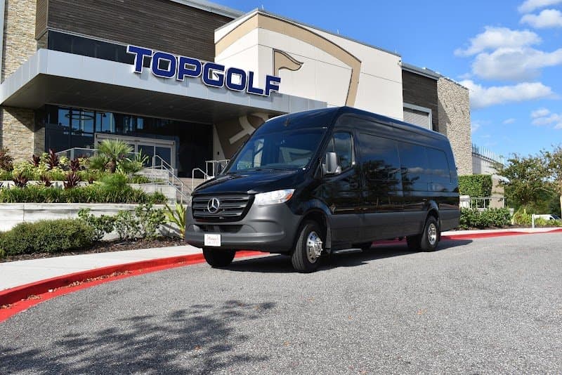 Dana's Limousine Service photo 3