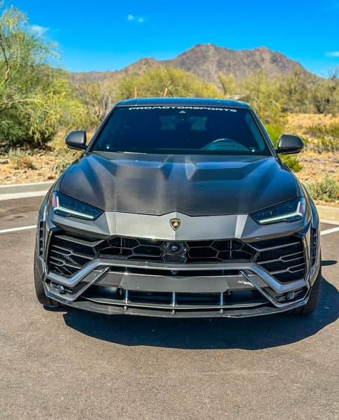 Desert Luxe Exotics photo 2