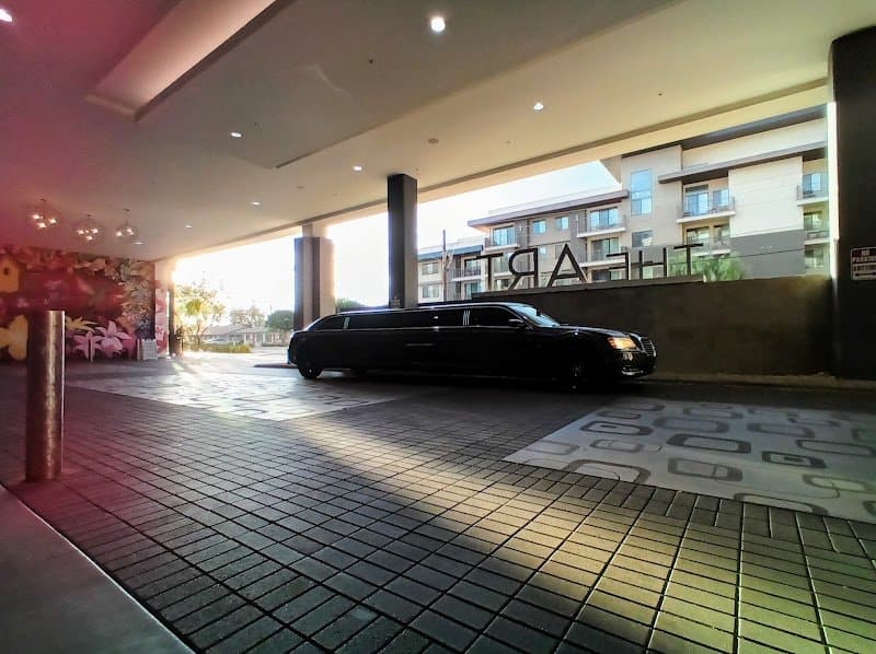 discount limousine photo 6