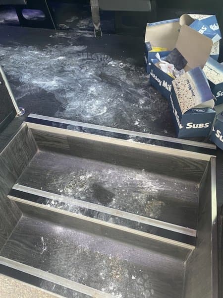 Divine Chariots Limousines photo 3