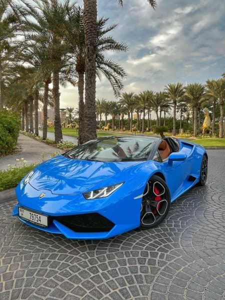 Indus Chauffeur Services Dubai photo 2