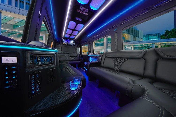 Limo Affair photo 3