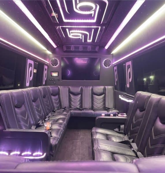 Limo Luxury Ride photo 3