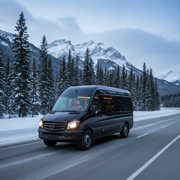 Limobook Limousine Service photo 3