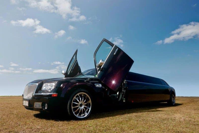 Limoso Australia photo 3