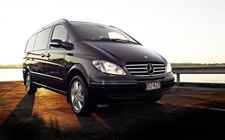 Limoso Australia photo 6