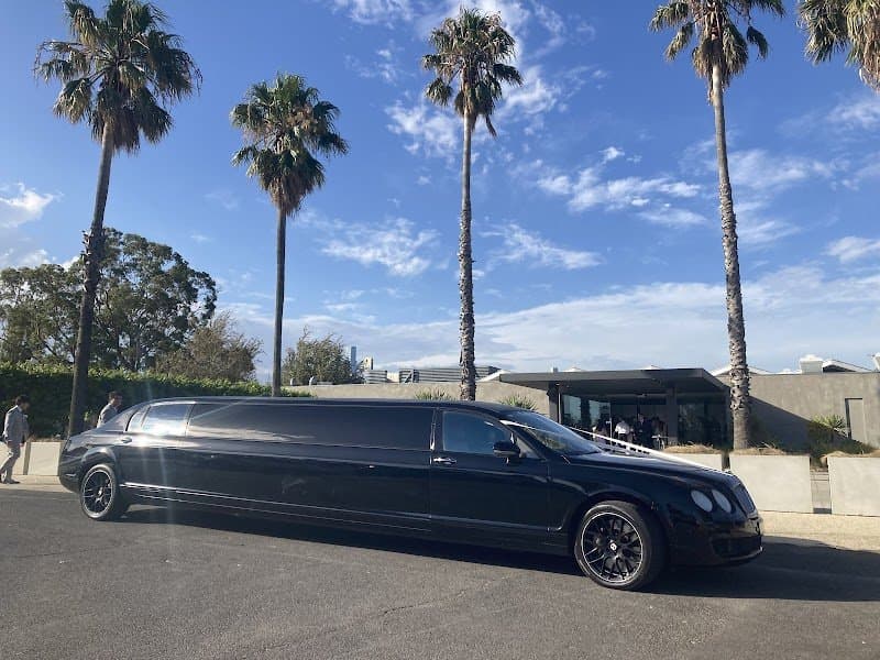 Melbourne Star Chauffeured photo 5