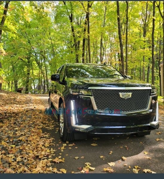 Mn Black Car Service photo 4