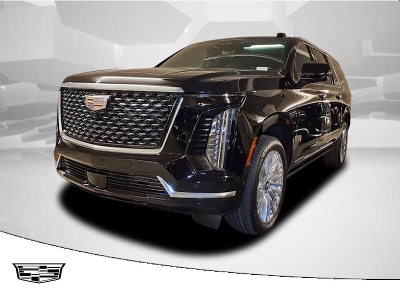 Presidential Limousine