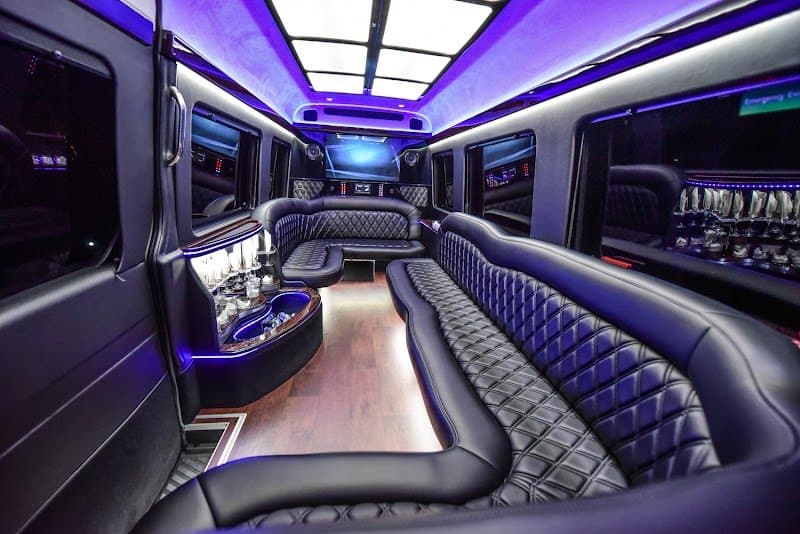 Presidential Limousine photo 3