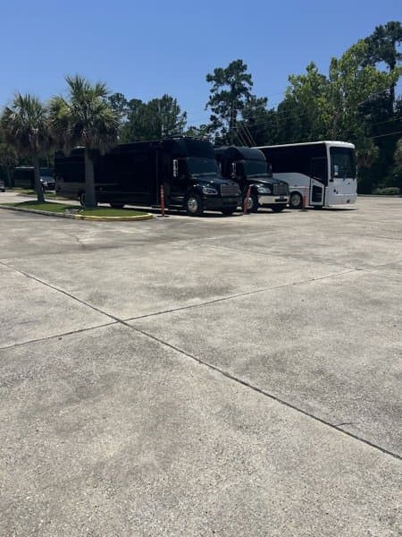 Riculfy Livery LLC photo 6