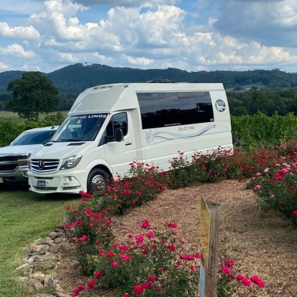 SilverFox Limos photo 6