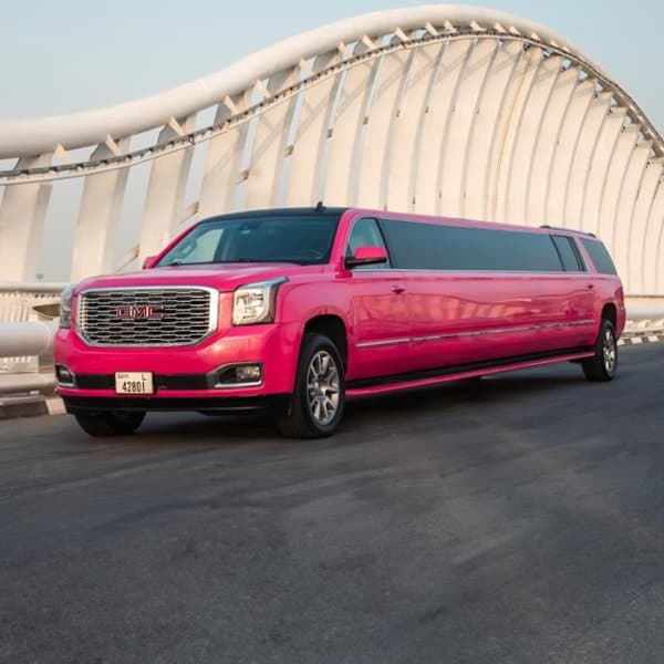 Skye VIP Limo & Car Rental photo 2