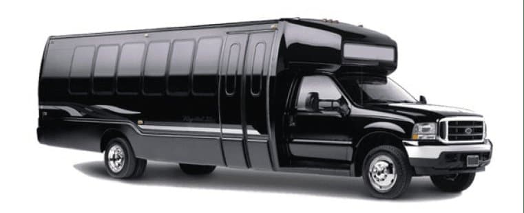 Skylink Limousine service photo 4