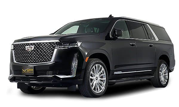 vip all state service photo 3