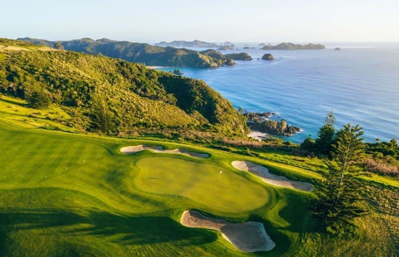 YourNZDriver photo 5