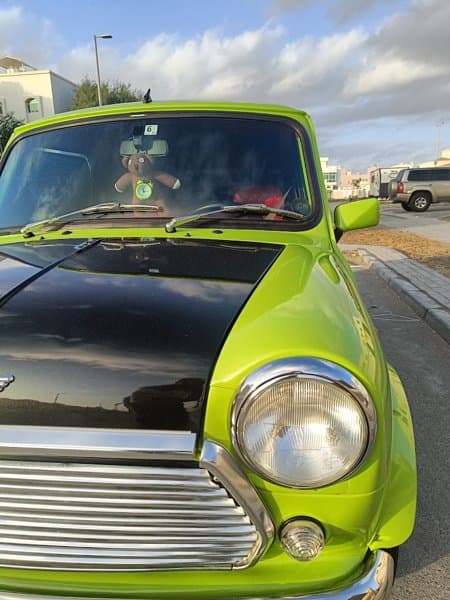 Safco Car Rental and Transportation photo 6