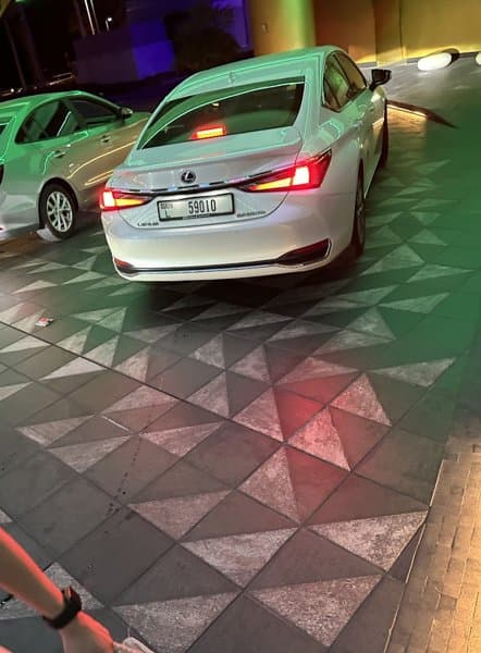 Starlet Limousines Passenger Transport by Luxury Car LLC photo 2