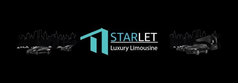 Starlet Limousines Passenger Transport by Luxury Car LLC photo 6