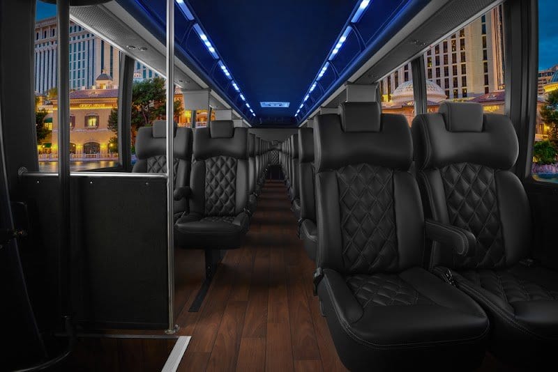 Ambassador Limo photo 4