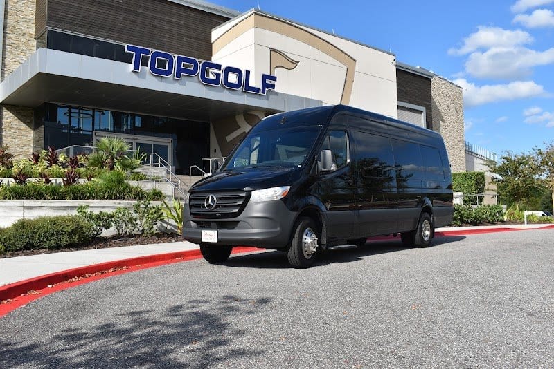 Dana's Limousine Service photo 3