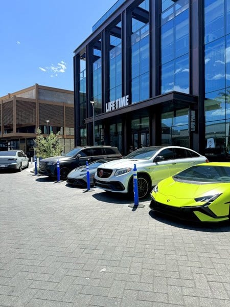 Desert Luxe Exotics