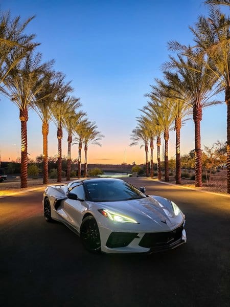 Desert Luxe Exotics photo 3