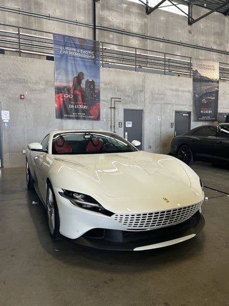 DS Luxury photo 4