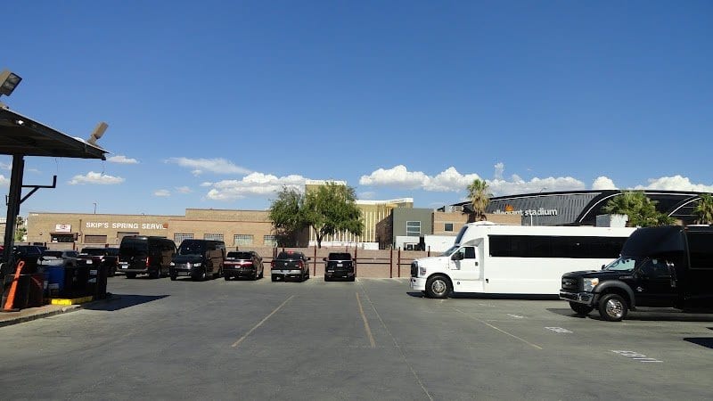 Earth Limos photo 6