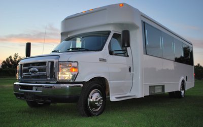 NY NJ Limousine & Party Bus Rental NYC photo 6