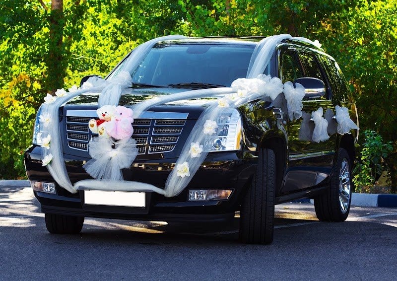 Plush Transportation photo 6