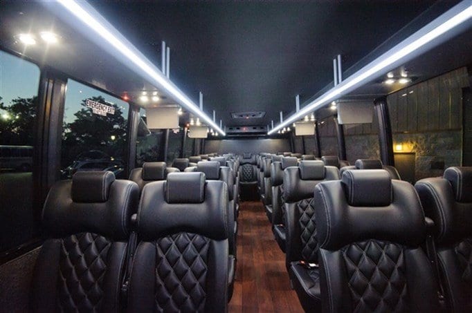 Presidential Limousine photo 2